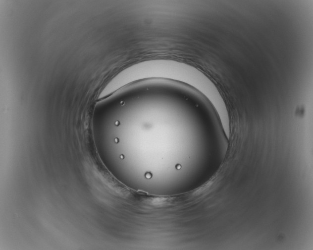 X0000111030184200907091553