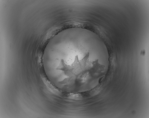 X0000111030185200907091553