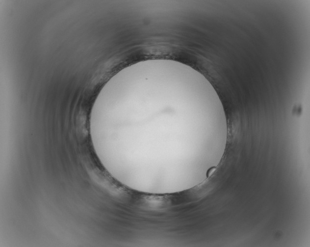 X0000111030187200907091553