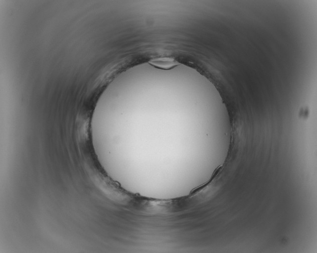 X0000111030188200907091553