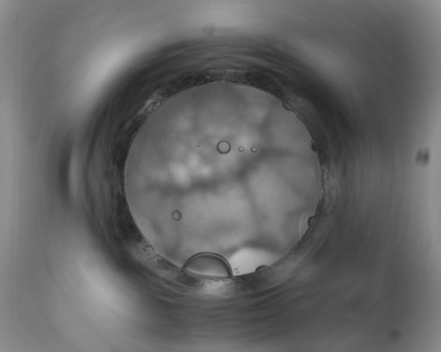 X0000111030189200907091553