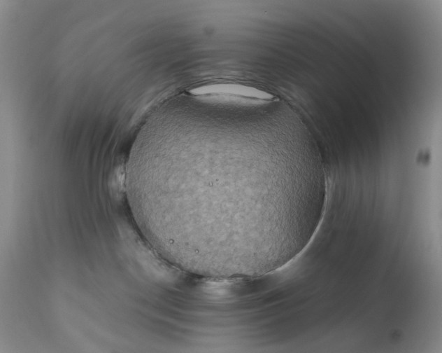 X0000111030190200907091553