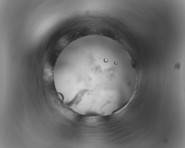 X0000111030191200907091553