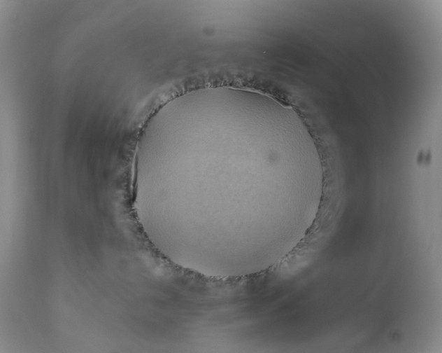 X0000111030192200907091553
