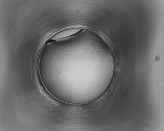 X0000111030193200907091553