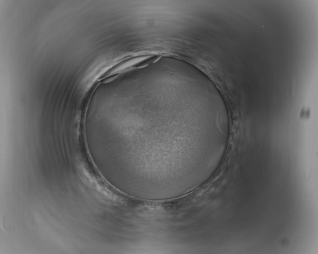 X0000111030194200907091553