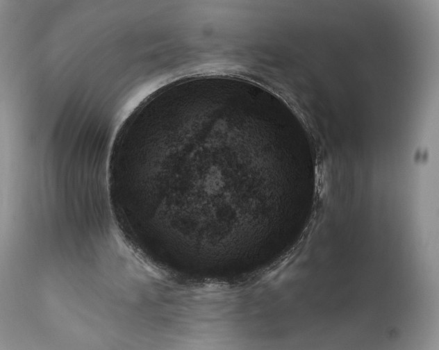 X0000111030196200907091553