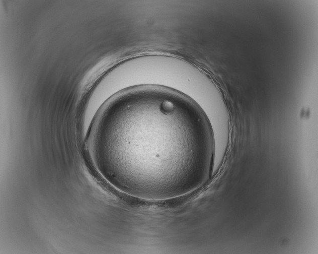X0000111030197200907091553
