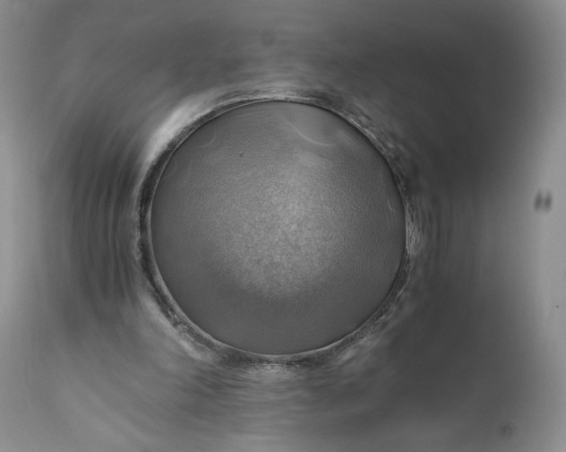 X0000111030198200907091553