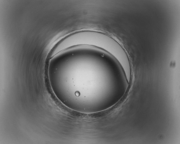 X0000111030199200907091553
