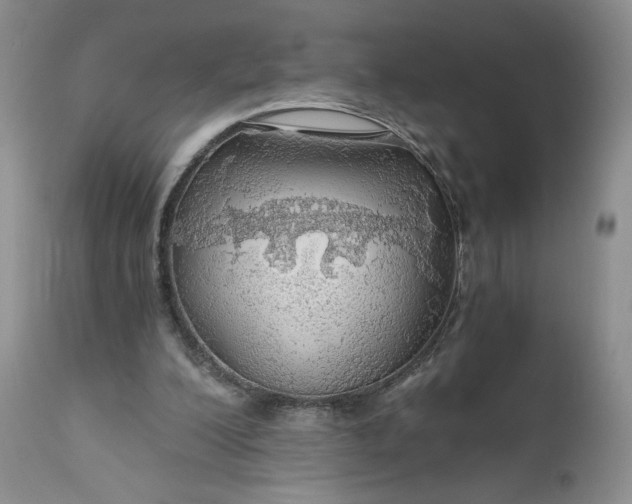 X0000111030200200907091553