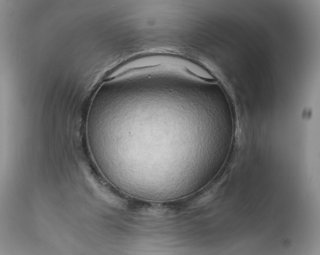 X0000111030201200907091553