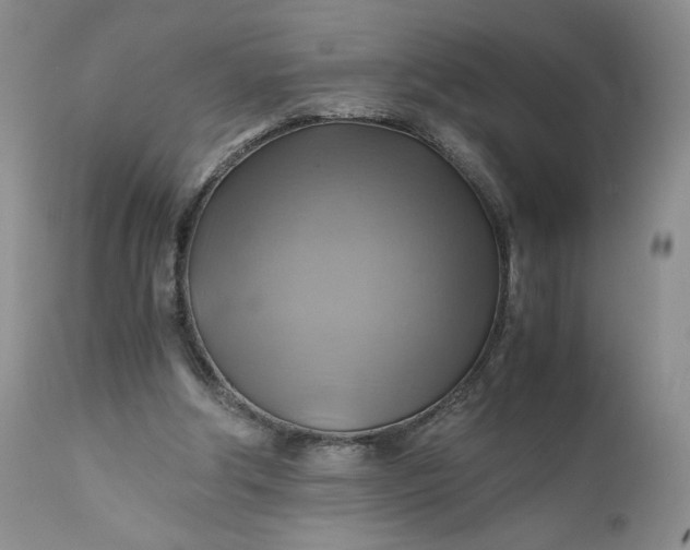 X0000111030202200907091553