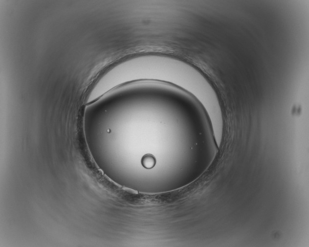 X0000111030207200907091552