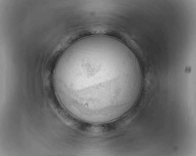 X0000111030209200907091552
