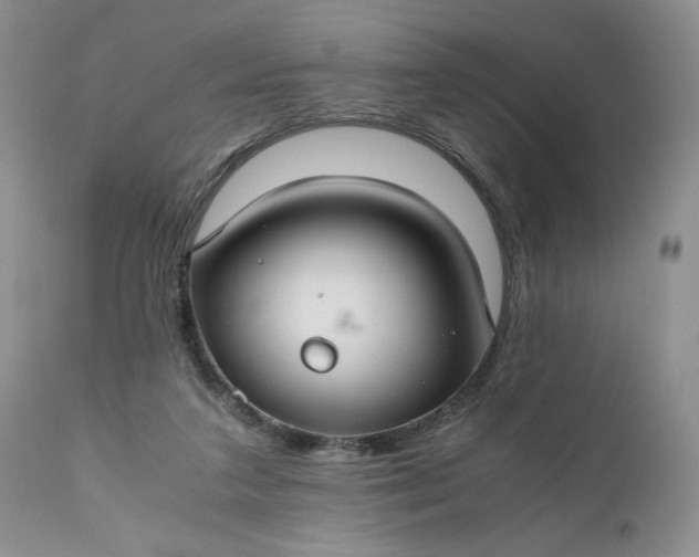 X0000111030211200907091552