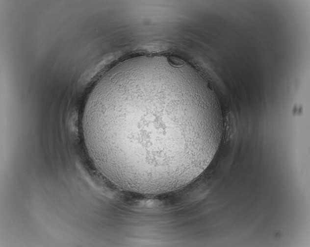 X0000111030212200907091552