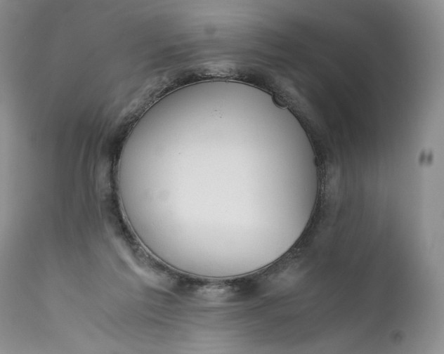 X0000111030213200907091552