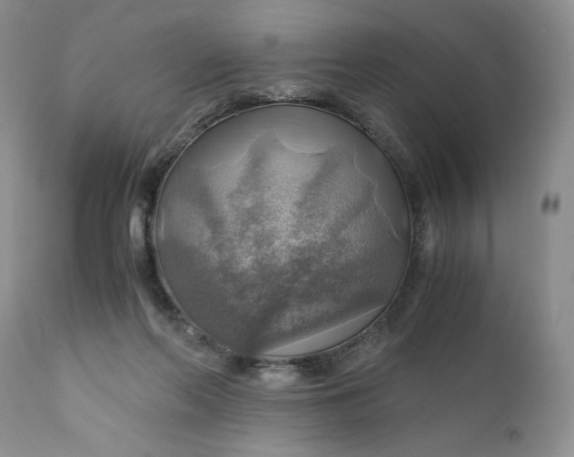 X0000111030214200907091552