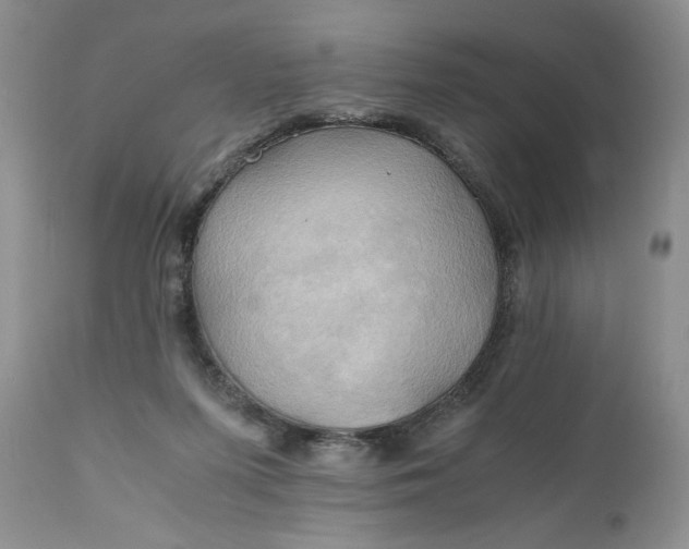 X0000111030215200907091552