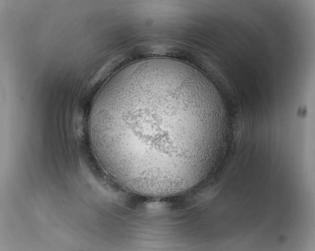X0000111030216200907091552