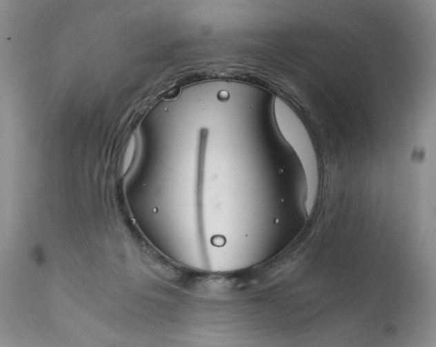X0000111030217200907091552