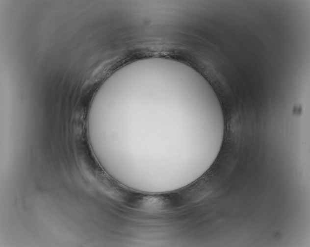 X0000111030218200907091552