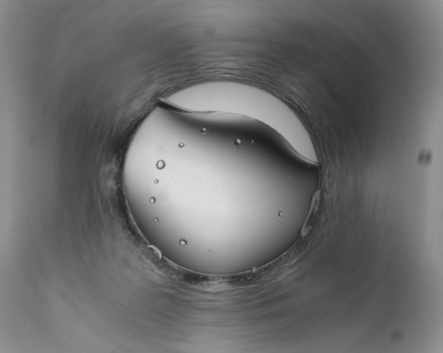 X0000111030219200907091552