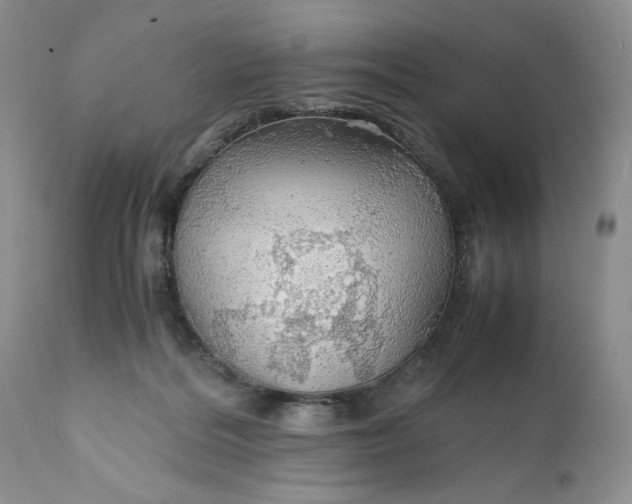 X0000111030220200907091552