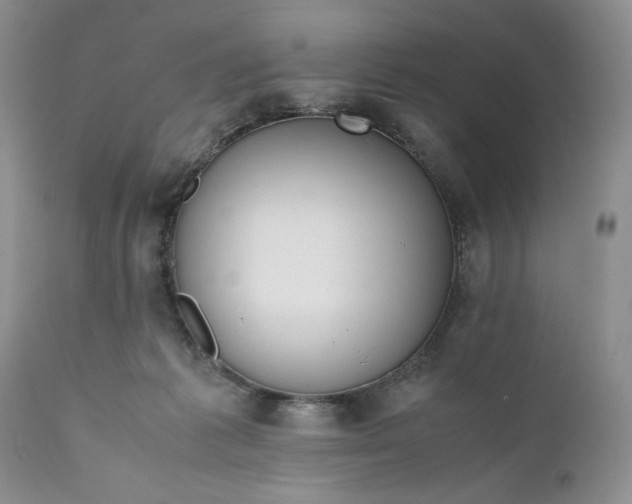 X0000111030221200907091552