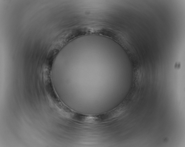X0000111030222200907091552