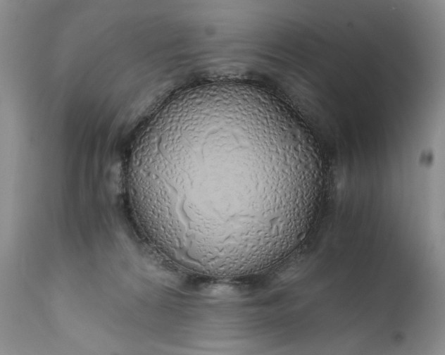 X0000111030224200907091552