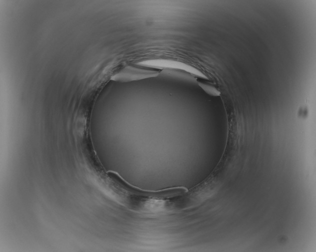 X0000111030227200907091552