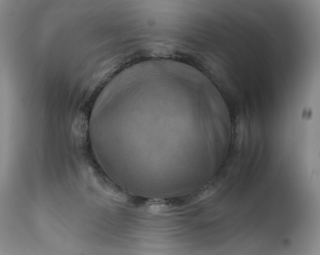 X0000111030228200907091552