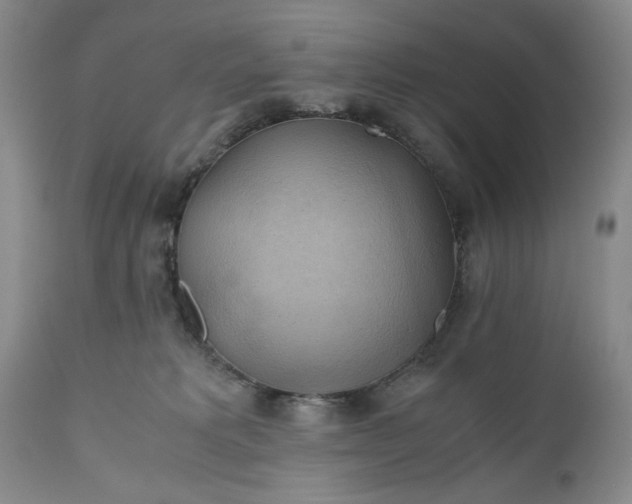 X0000111030229200907091552