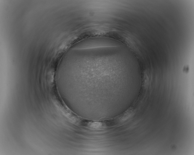 X0000111030230200907091552