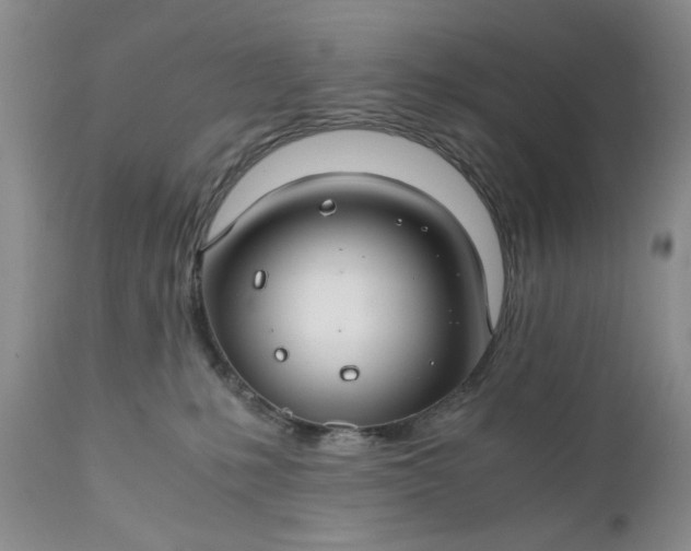 X0000111030231200907091552