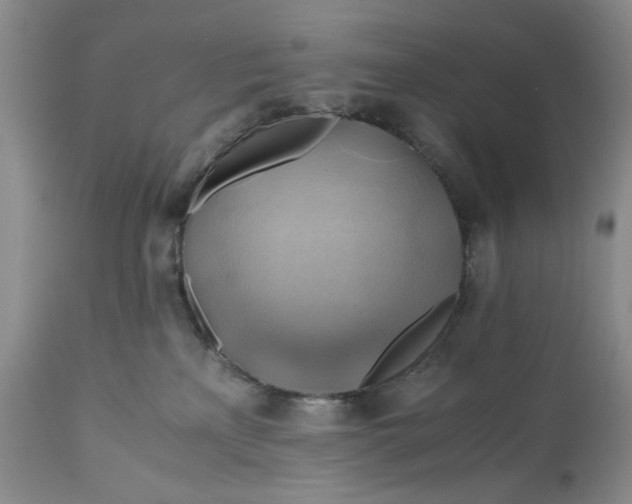 X0000111030233200907091552