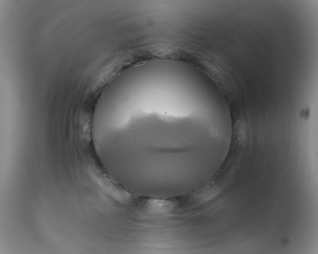 X0000111030234200907091552