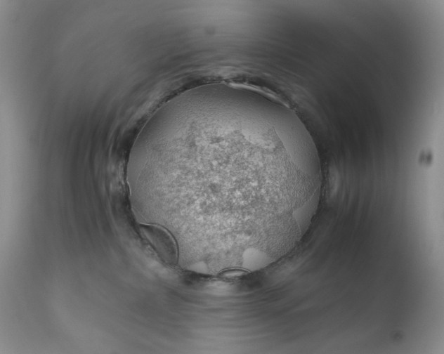 X0000111030236200907091552