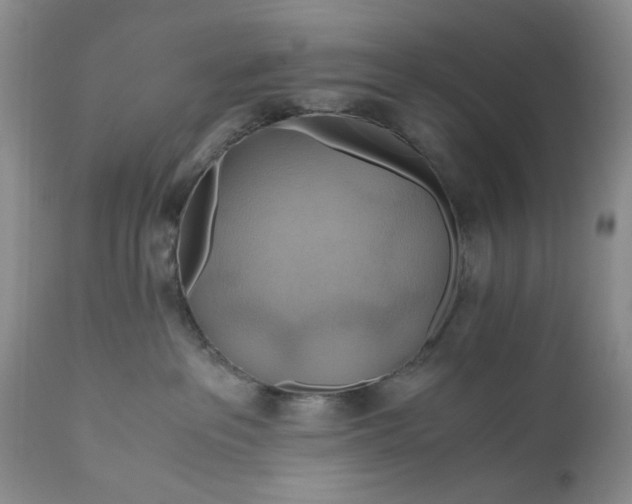X0000111030237200907091552