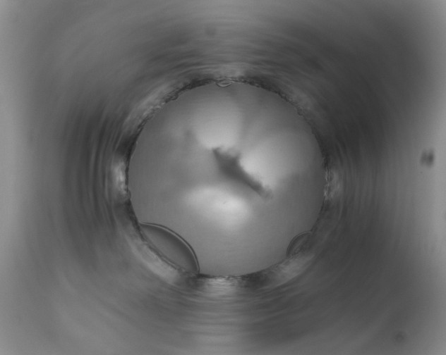 X0000111030238200907091552