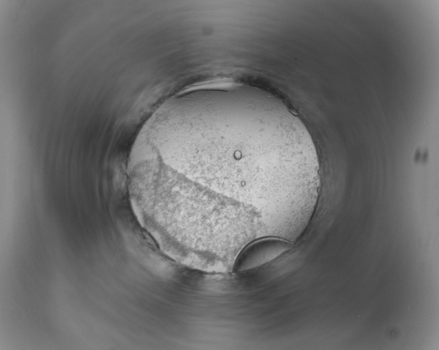 X0000111030240200907091552