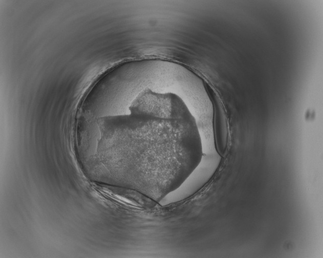 X0000111030241200907091551