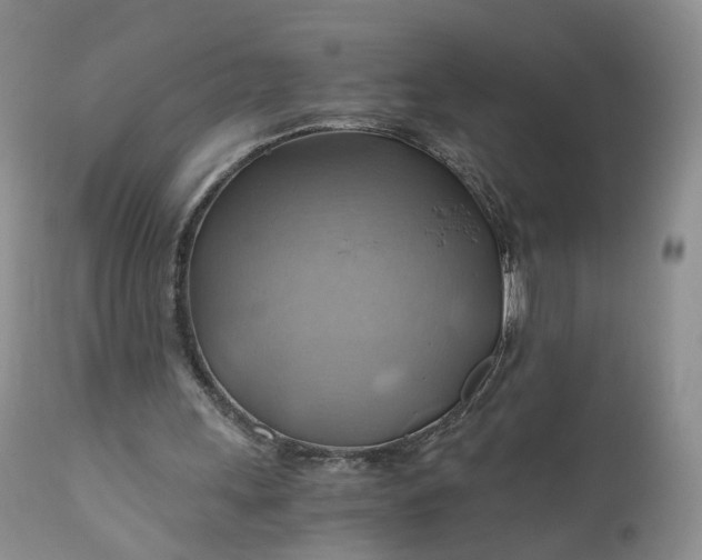 X0000111030243200907091551