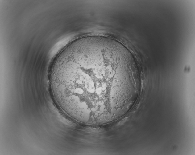 X0000111030245200907091551