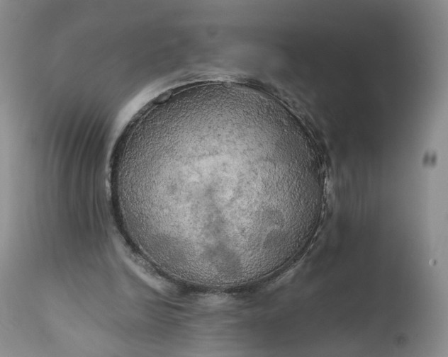 X0000111030246200907091551