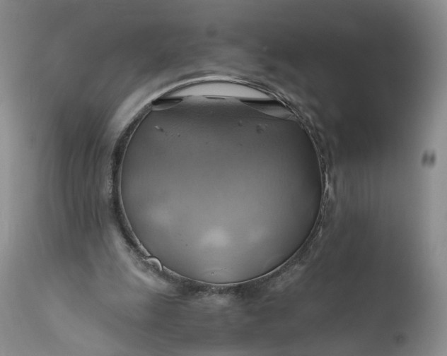 X0000111030247200907091551