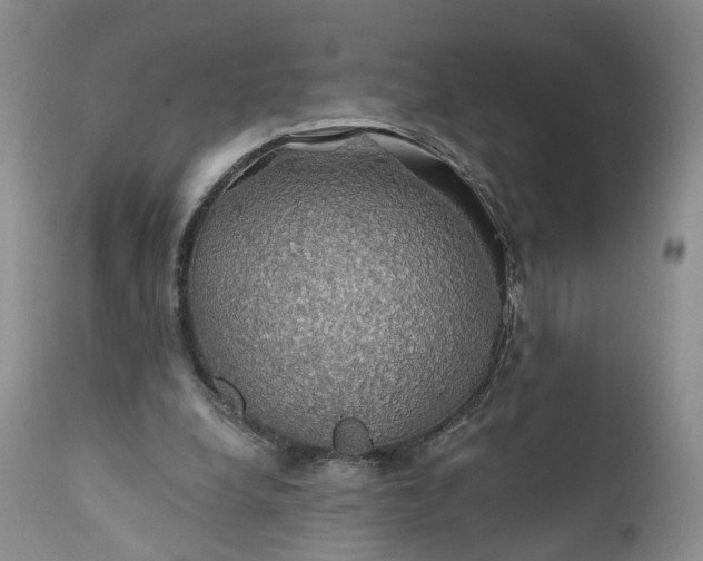X0000111030248200907091551
