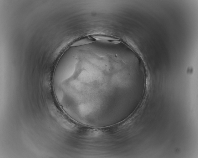 X0000111030249200907091551